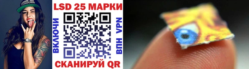 shop как зайти  Бердск  Марки N-bome 1,5мг  дарнет шоп  МЕГА зеркало 