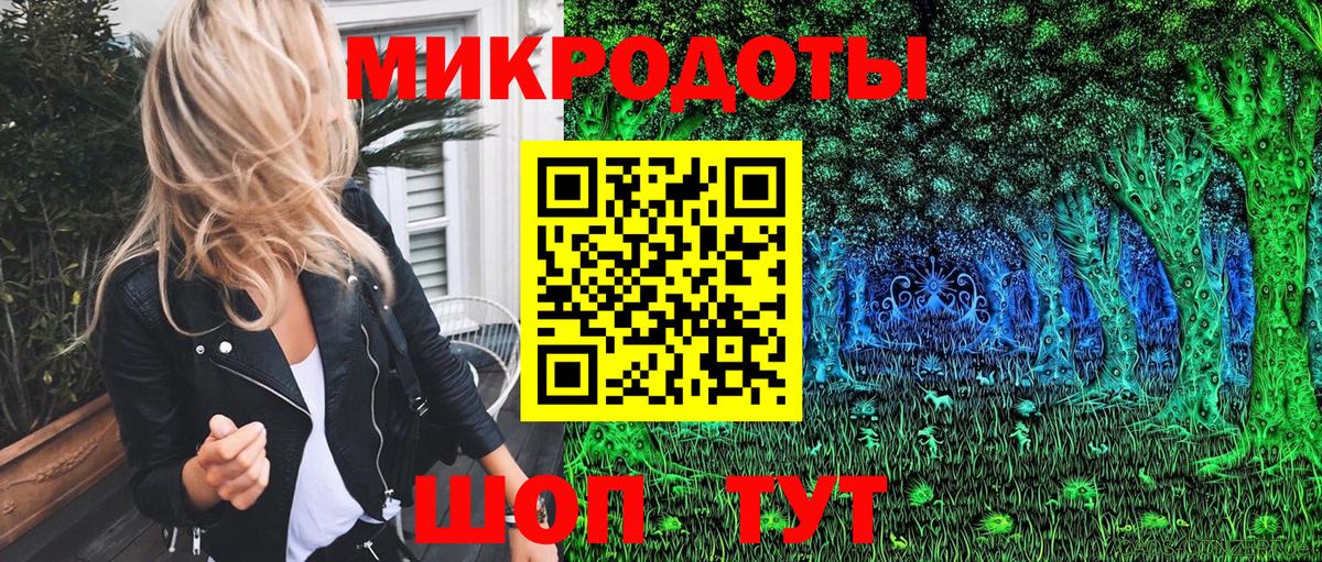 Псилоцибиновые грибы Psilocybe Бердск