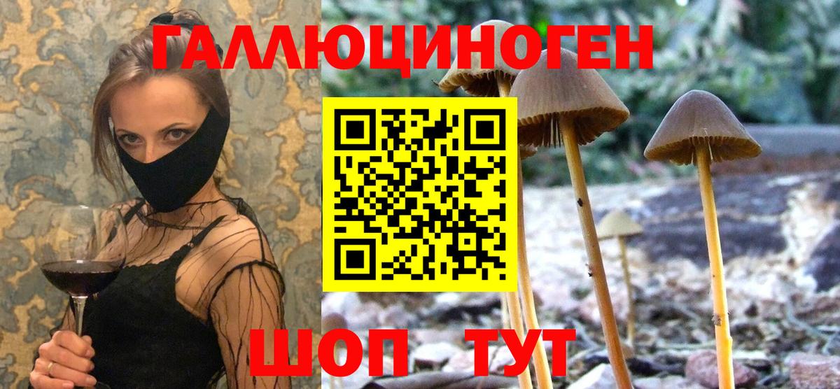 Бердск  Псилоцибиновые грибы мухоморы  Вход с VPN 